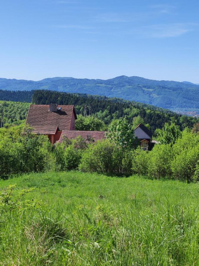 Dom Pod Jabloniami Villa Lukowica Exterior photo