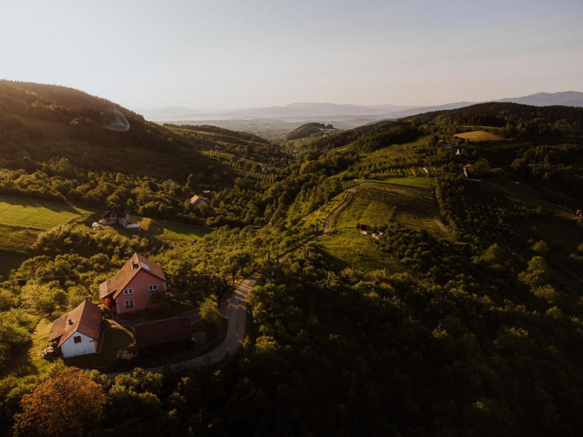 Dom Pod Jabloniami Villa Lukowica Exterior photo